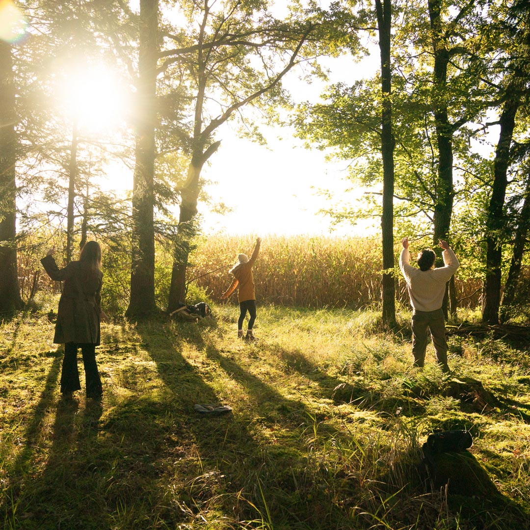 Natur- und Tanztherapie