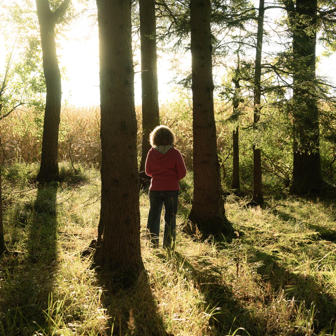 Der Wald als Therapieraum