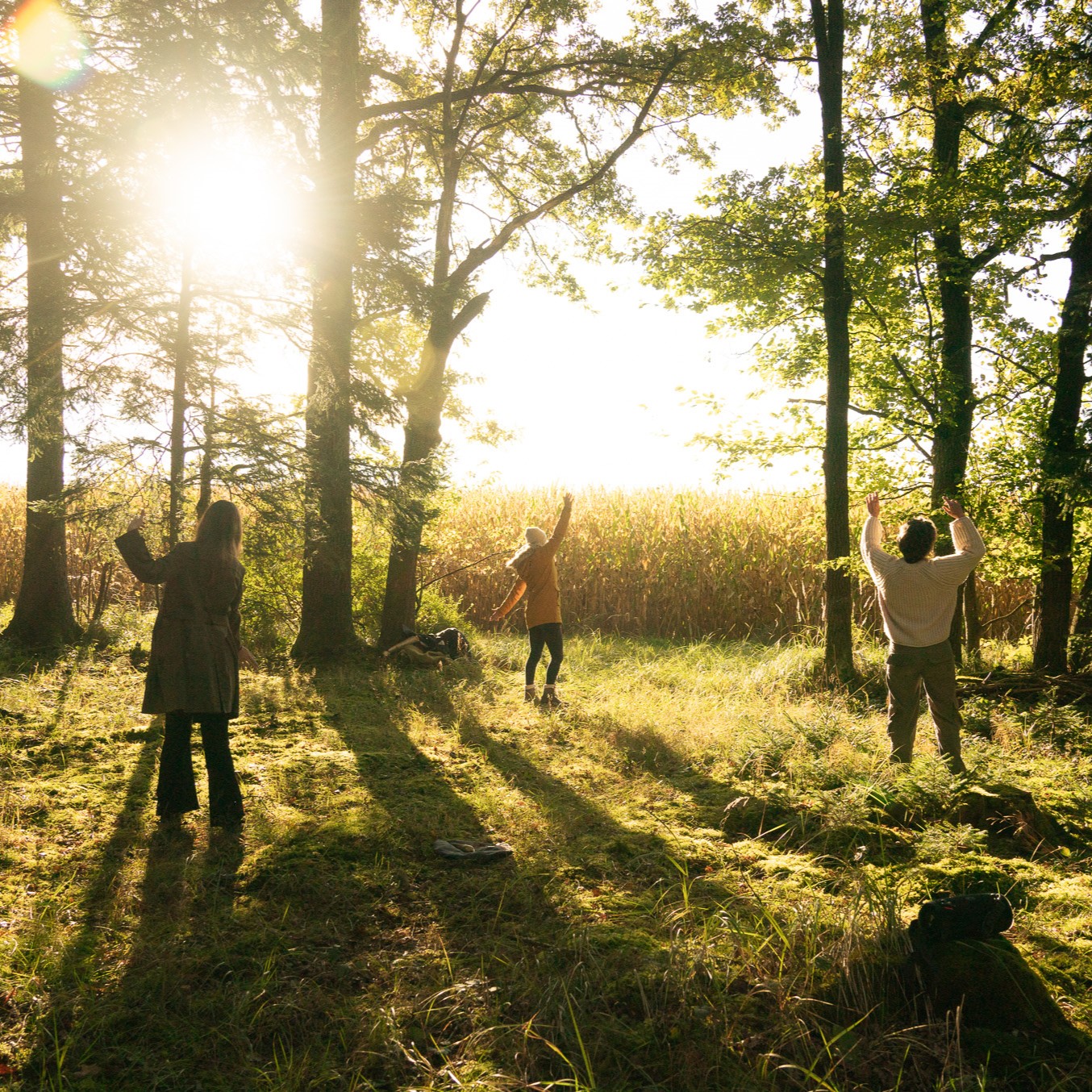 Tanztherapie in der Natur